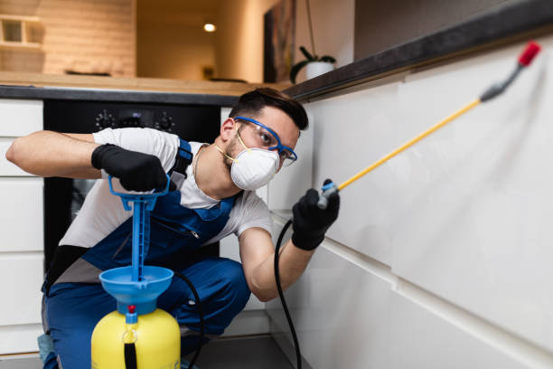 Best Wildlife Control Services  in Cao, ND