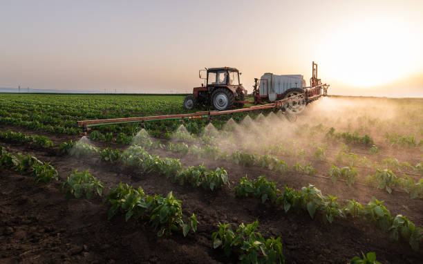 Best Pest Control Near Me  in Cao, ND