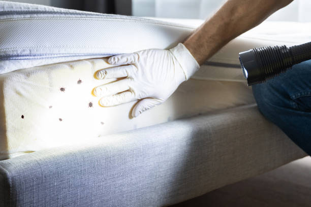 Reliable Cando, ND Pest Control Solutions