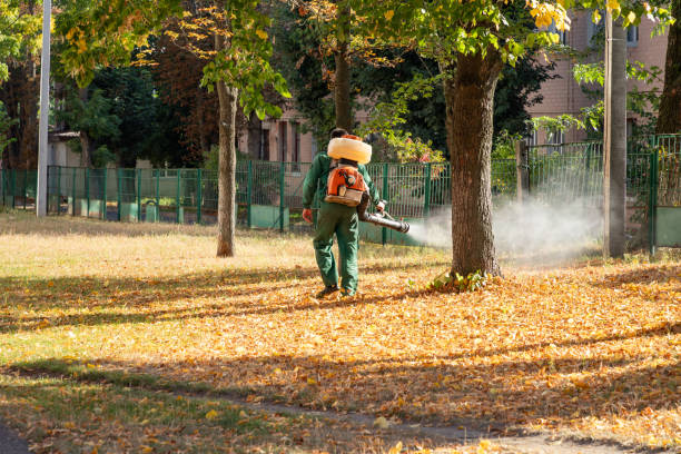 Best Wasp Removal Services  in Cao, ND