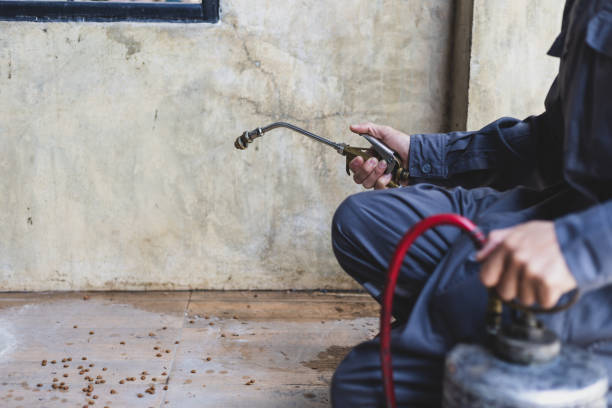 Best Mosquito Control Services  in Cao, ND